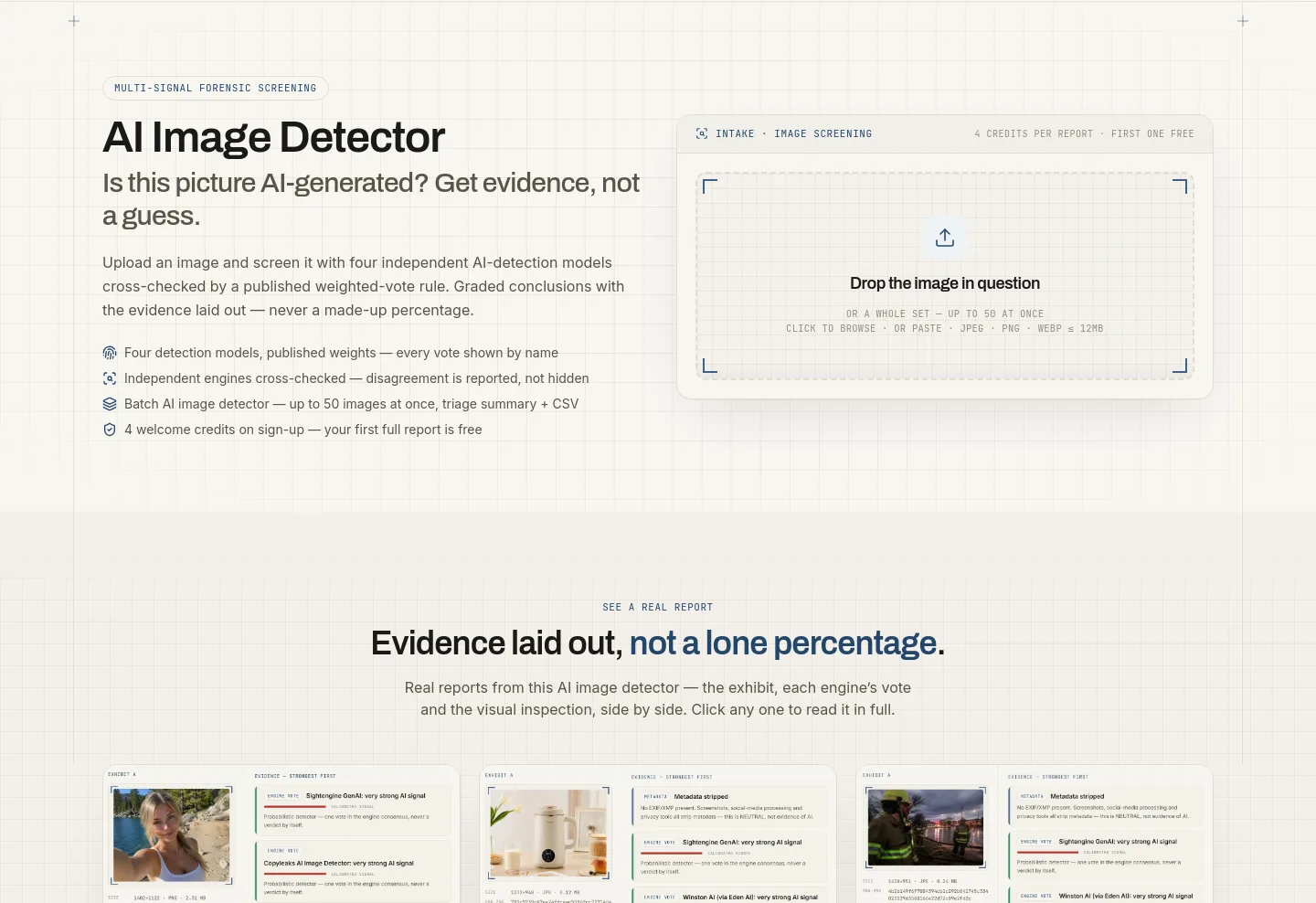 aiimagedetector.info — a real Hero section