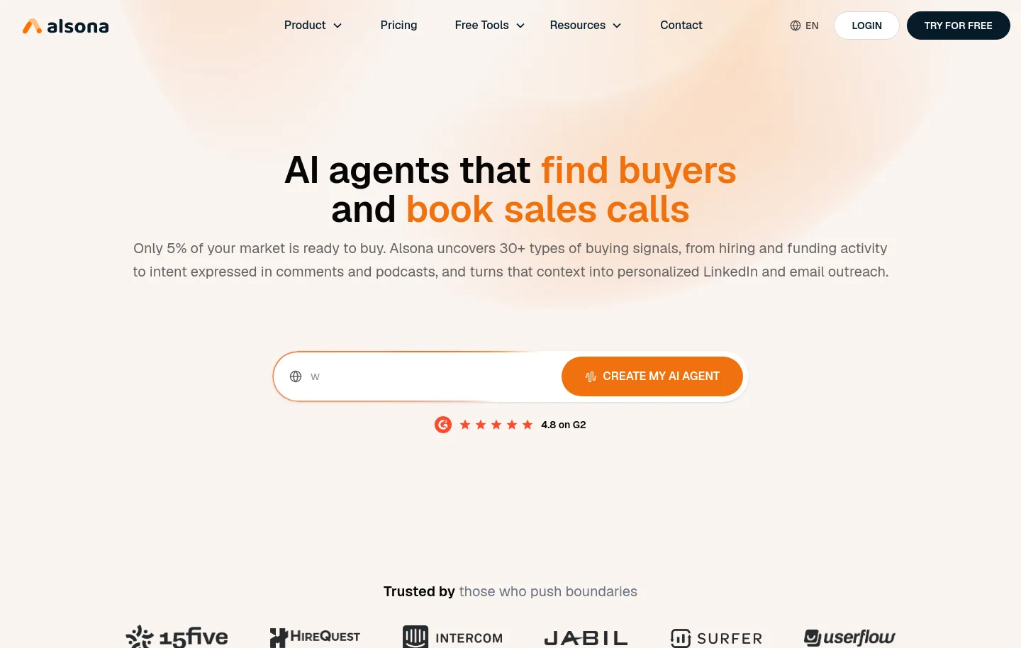 alsona.com — a real Hero section