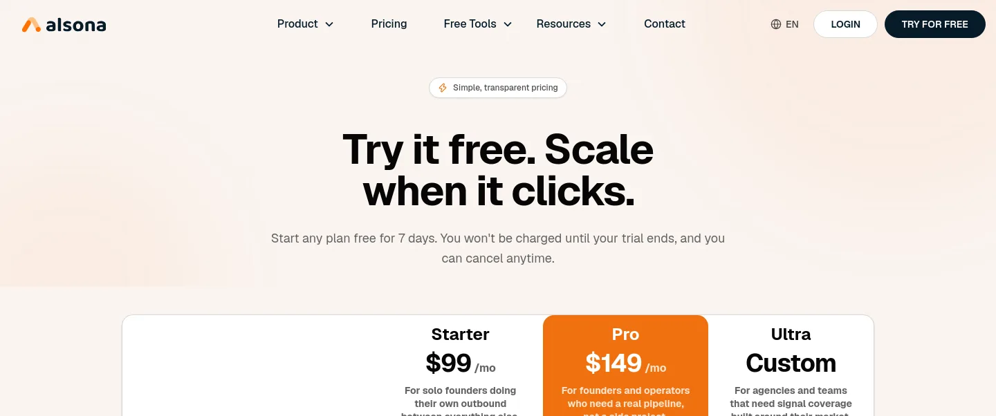 alsona.com Hero section