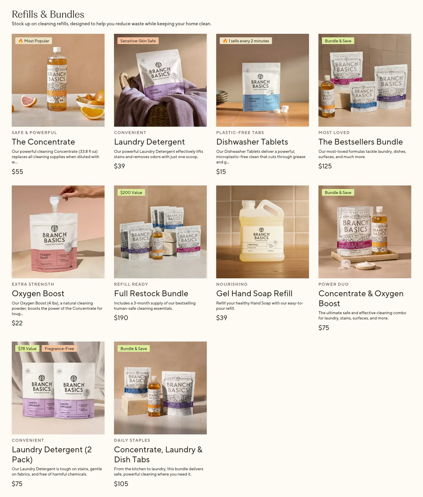 branchbasics.com Pricing section