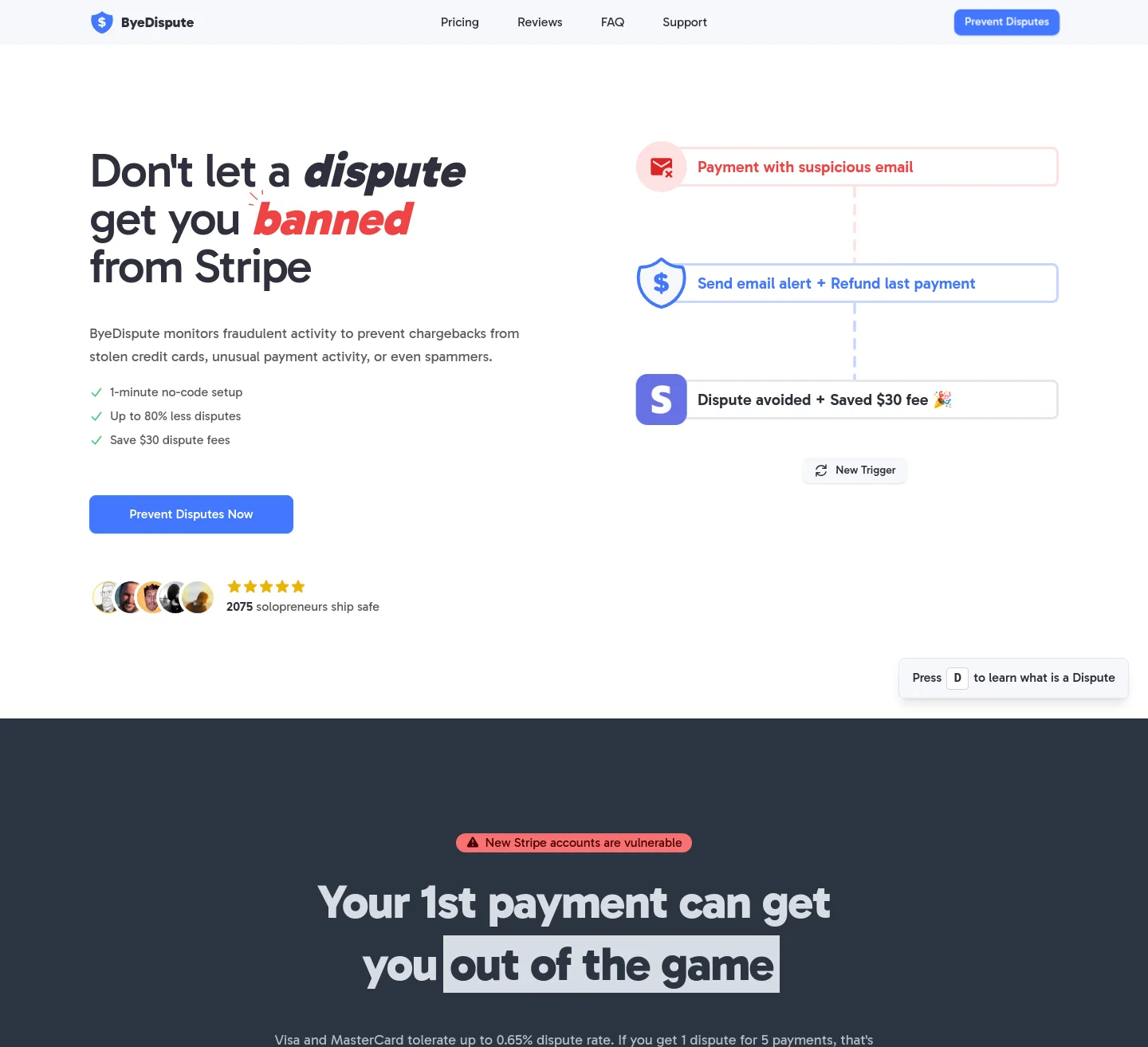 byedispute.com — The Pricing Page