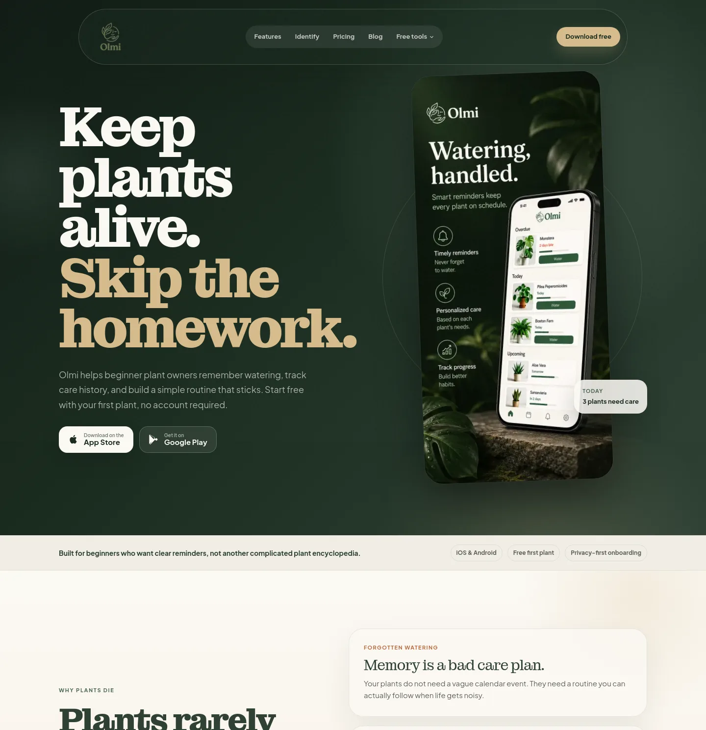 getolmi.com — a measured funnel