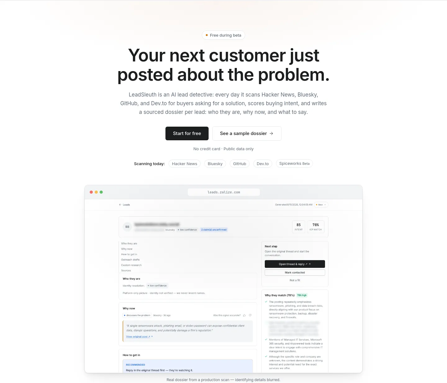 leads.zalize.com Hero section