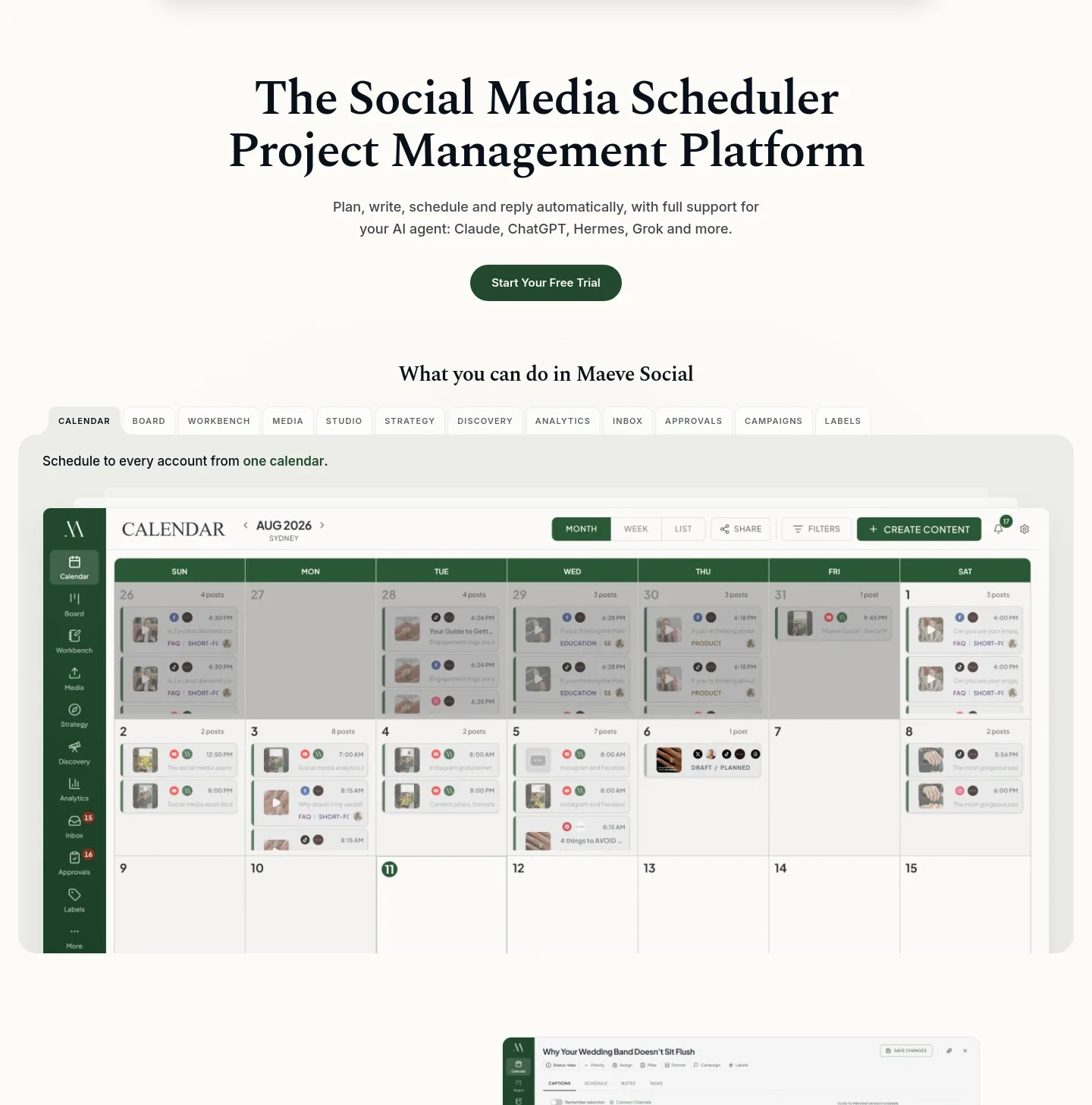 maevesocial.com Hero section