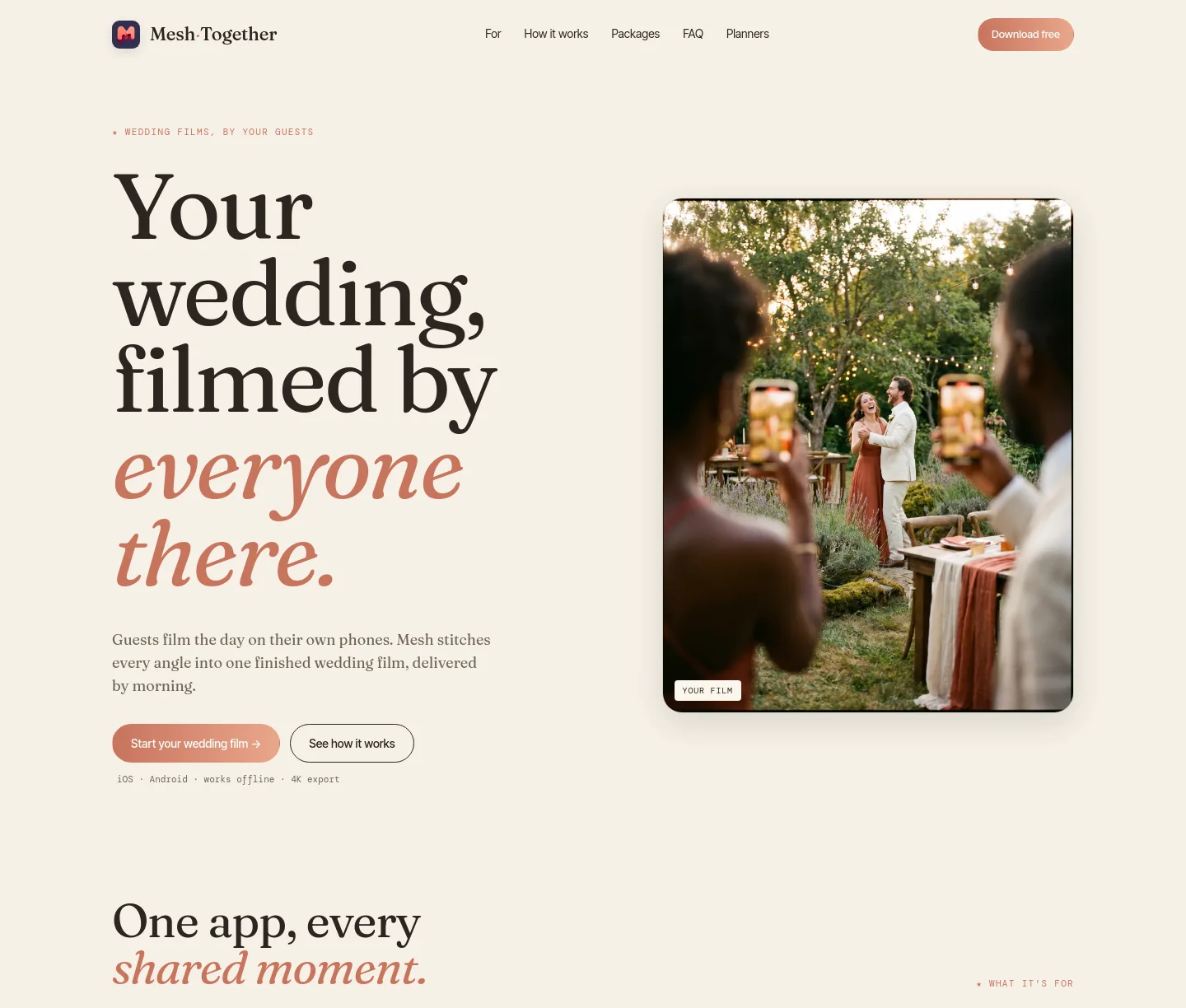 meshtogether.app — a measured funnel