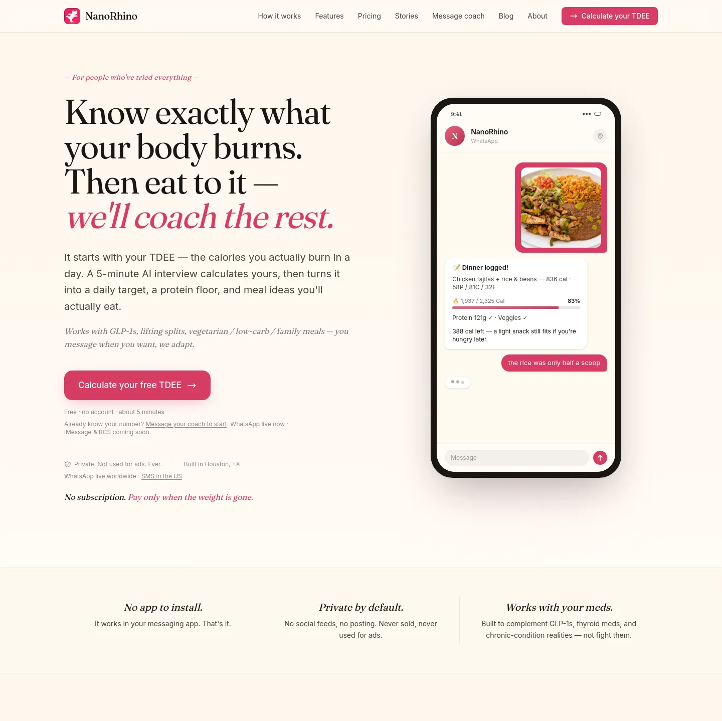 nanorhino.com — a real Hero section