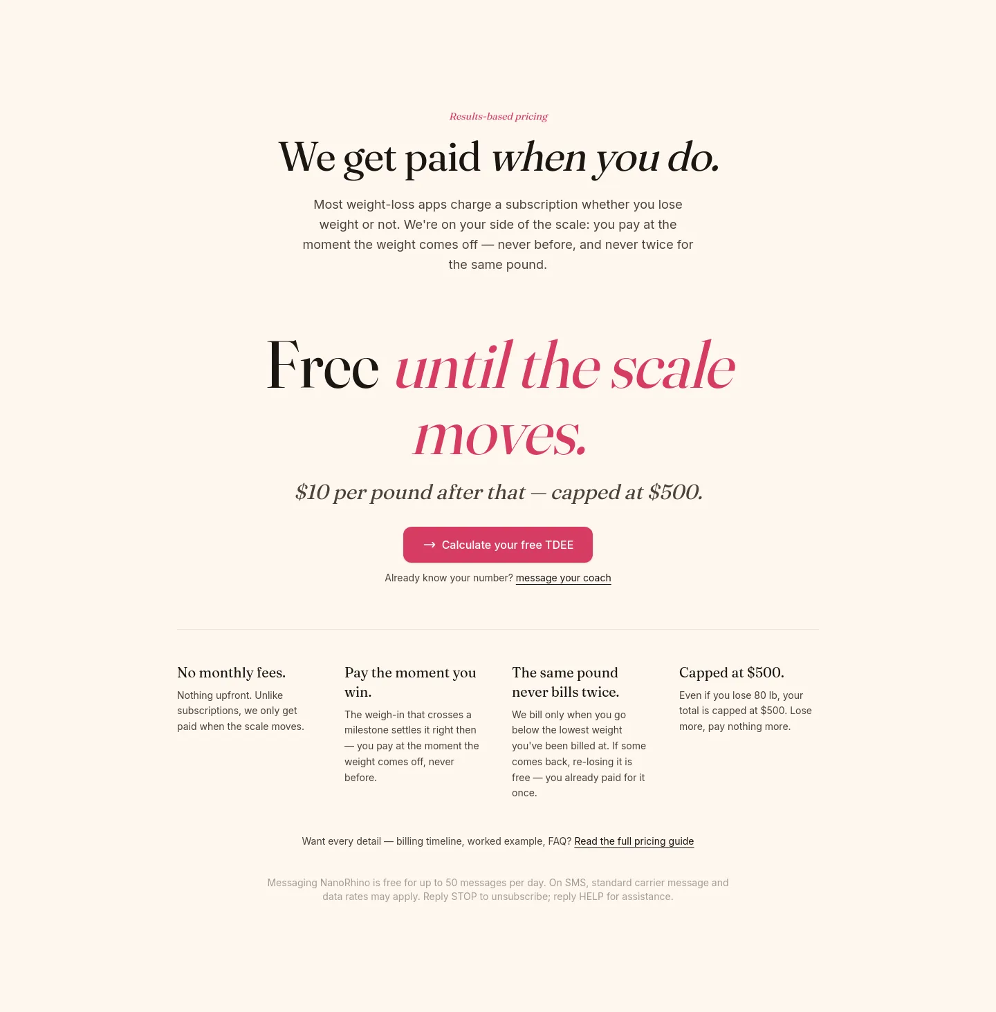 nanorhino.com — a real Pricing section