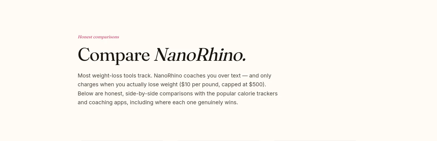 nanorhino.com — a real Hero section