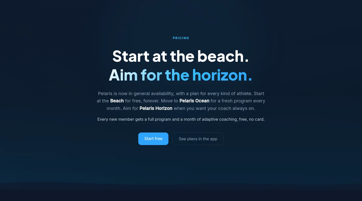 pelaris.io Hero section