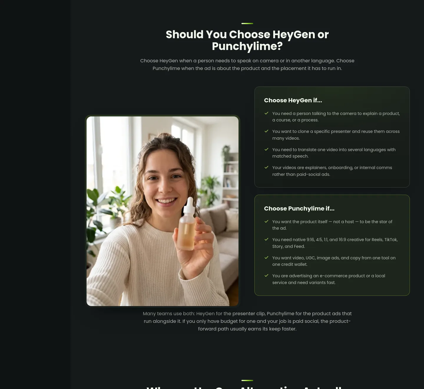 punchylime.com Features section