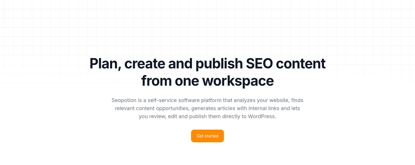 seopotion.co Hero section