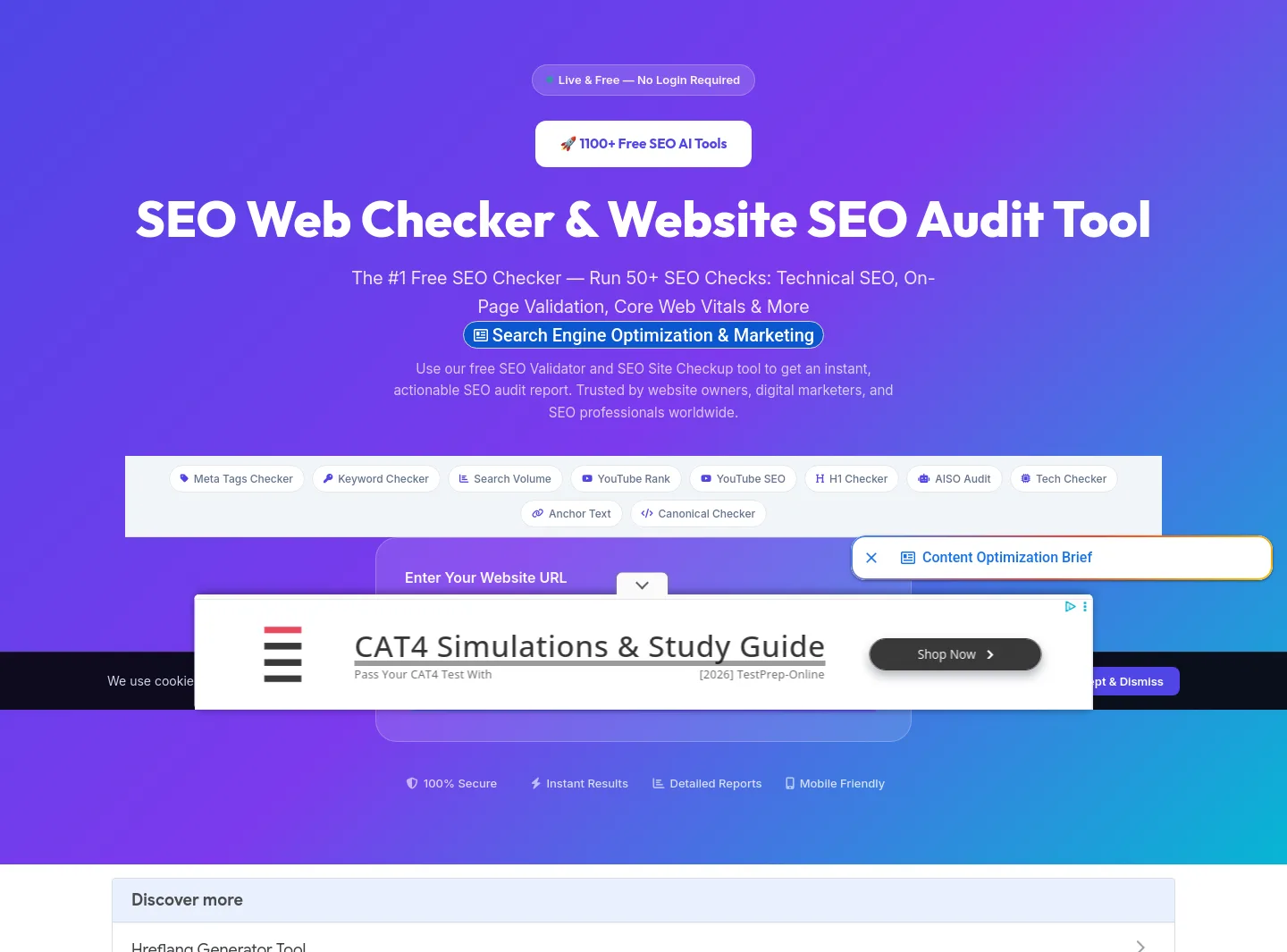 seowebchecker.com — a real Hero section