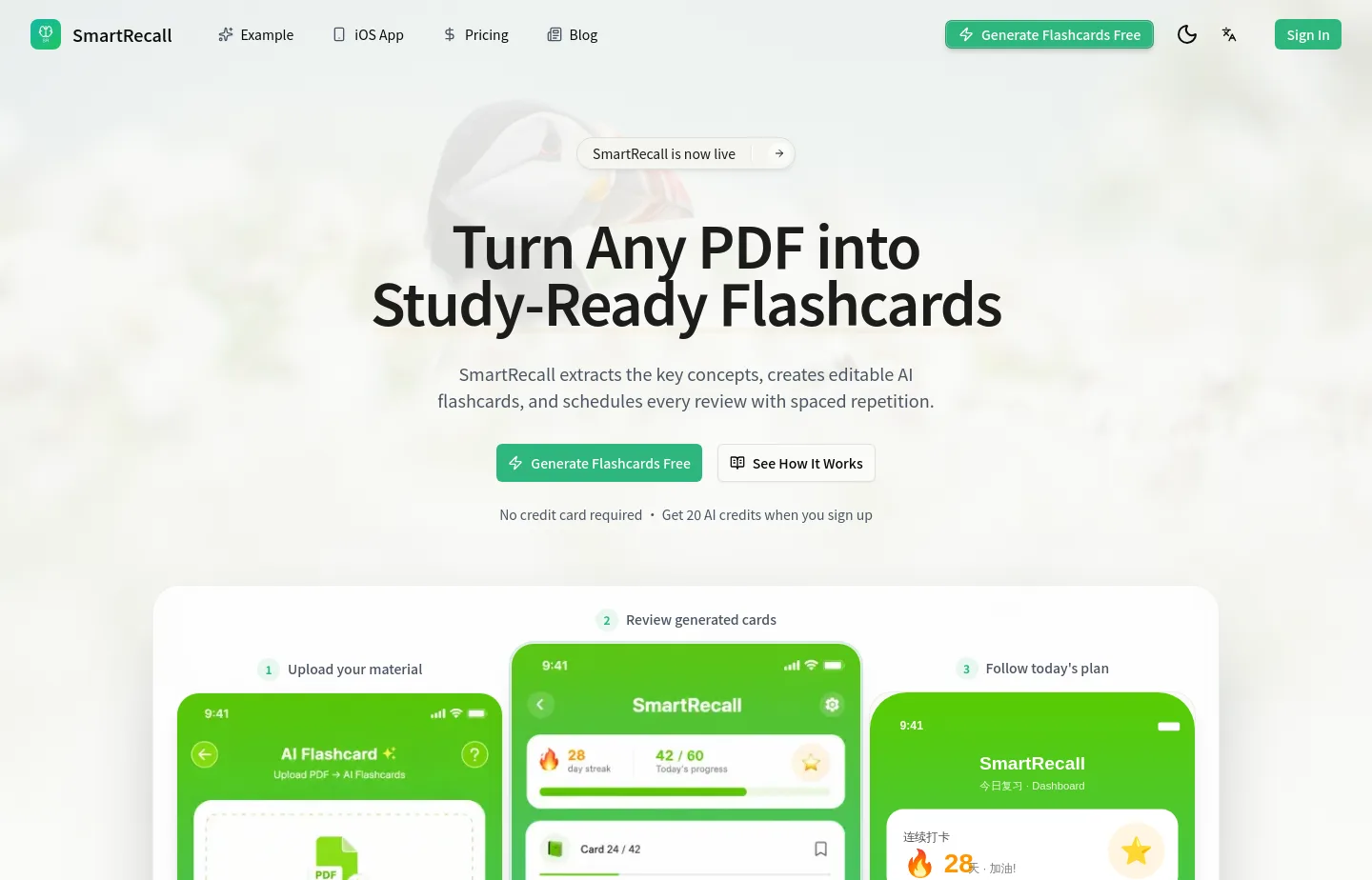 smartrecallai.com — a measured funnel