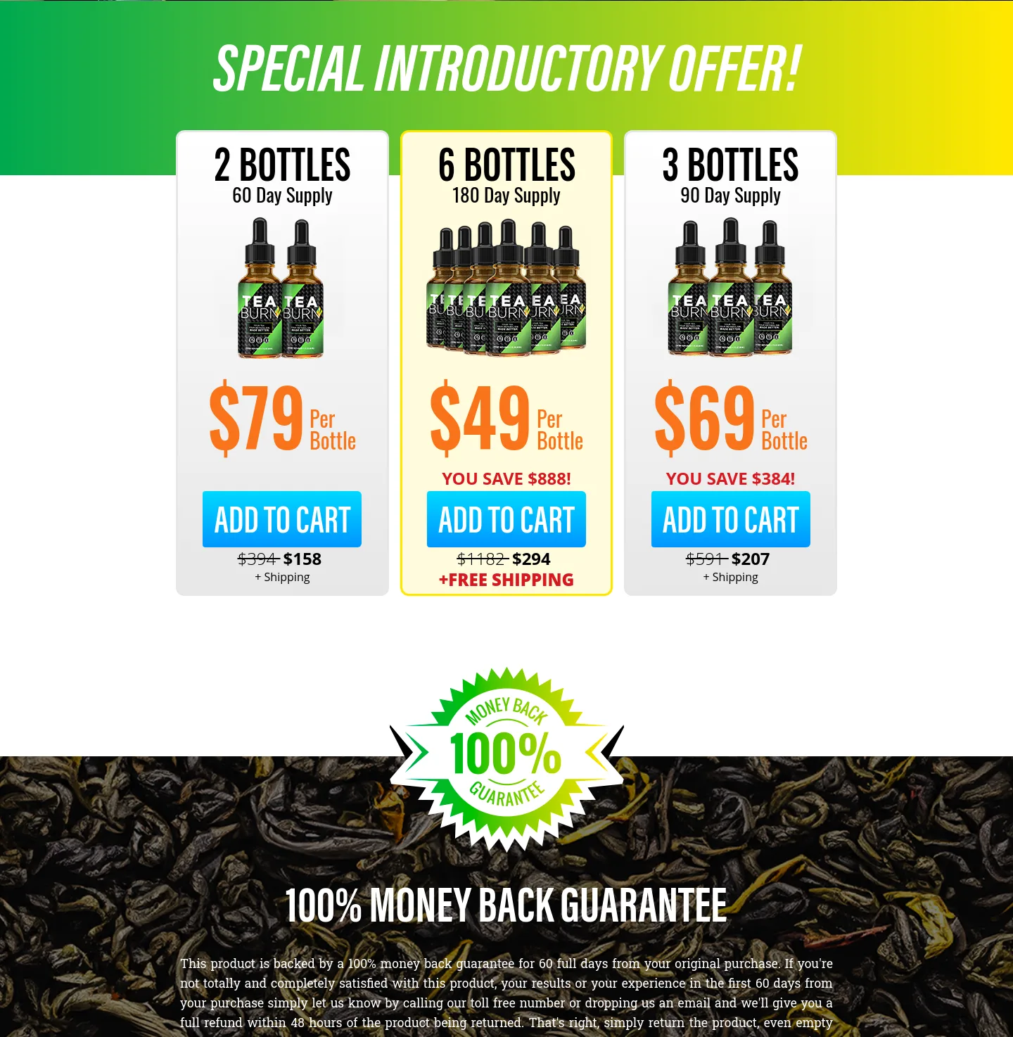 teaburn.com — a real Pricing section