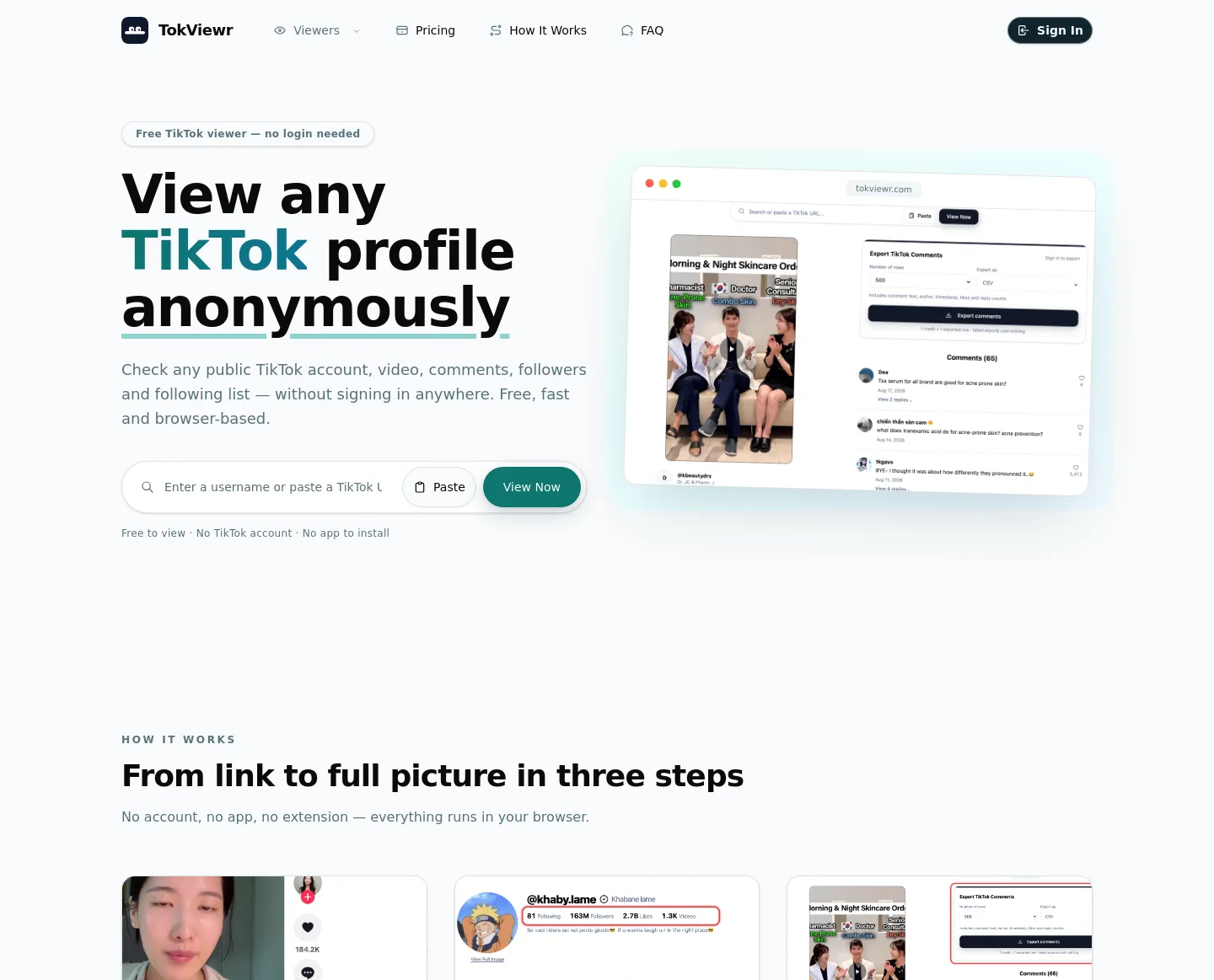 tokviewr.com