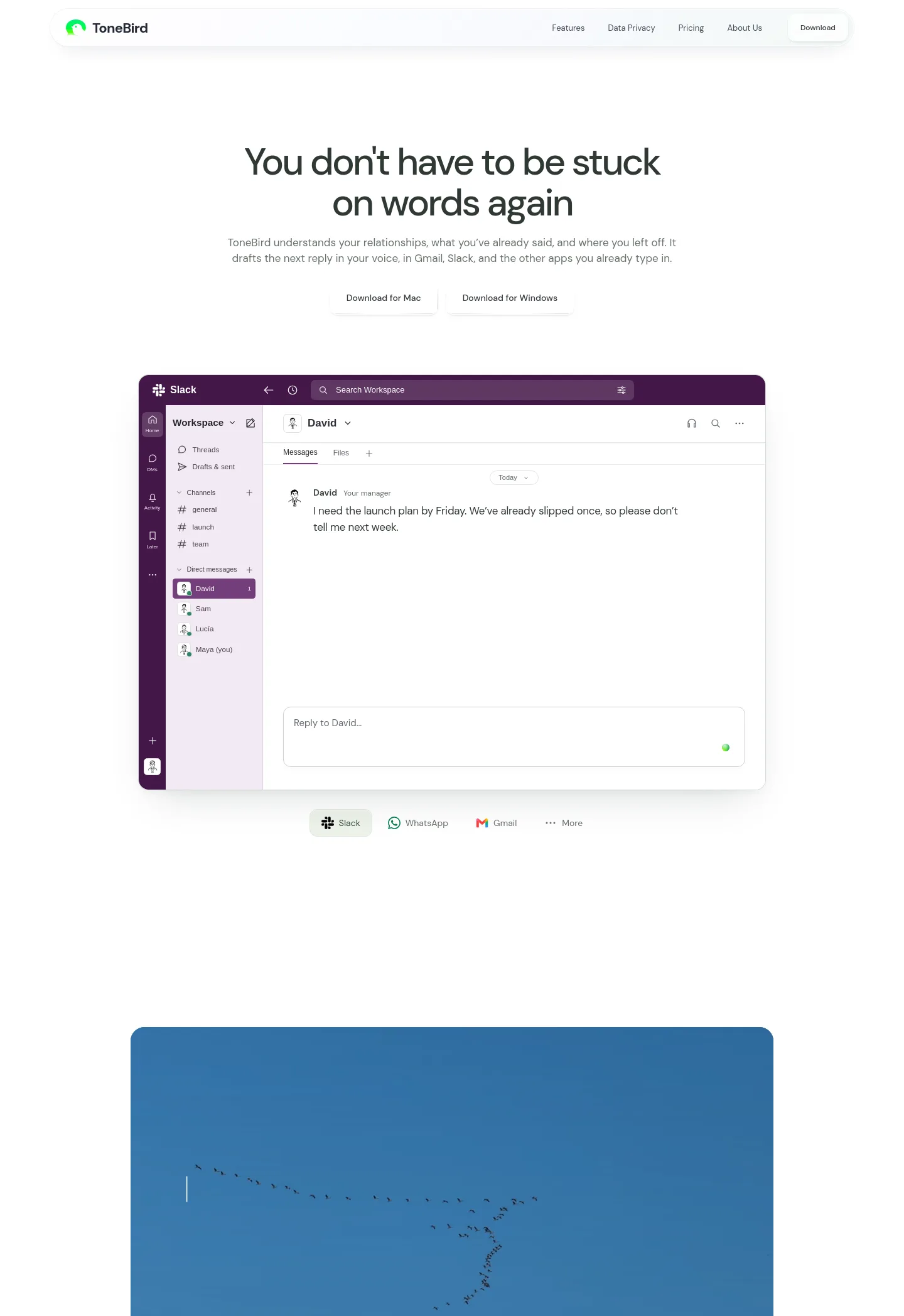 tonebird.ai — a measured funnel