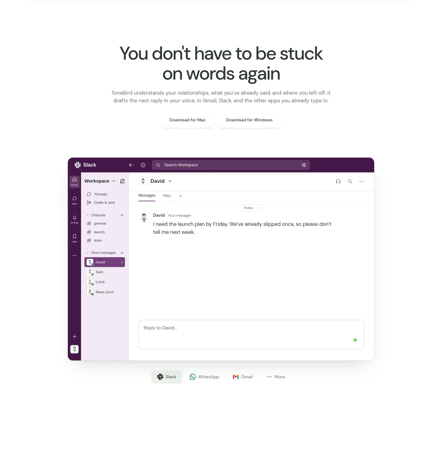 tonebird.ai — a real Hero section