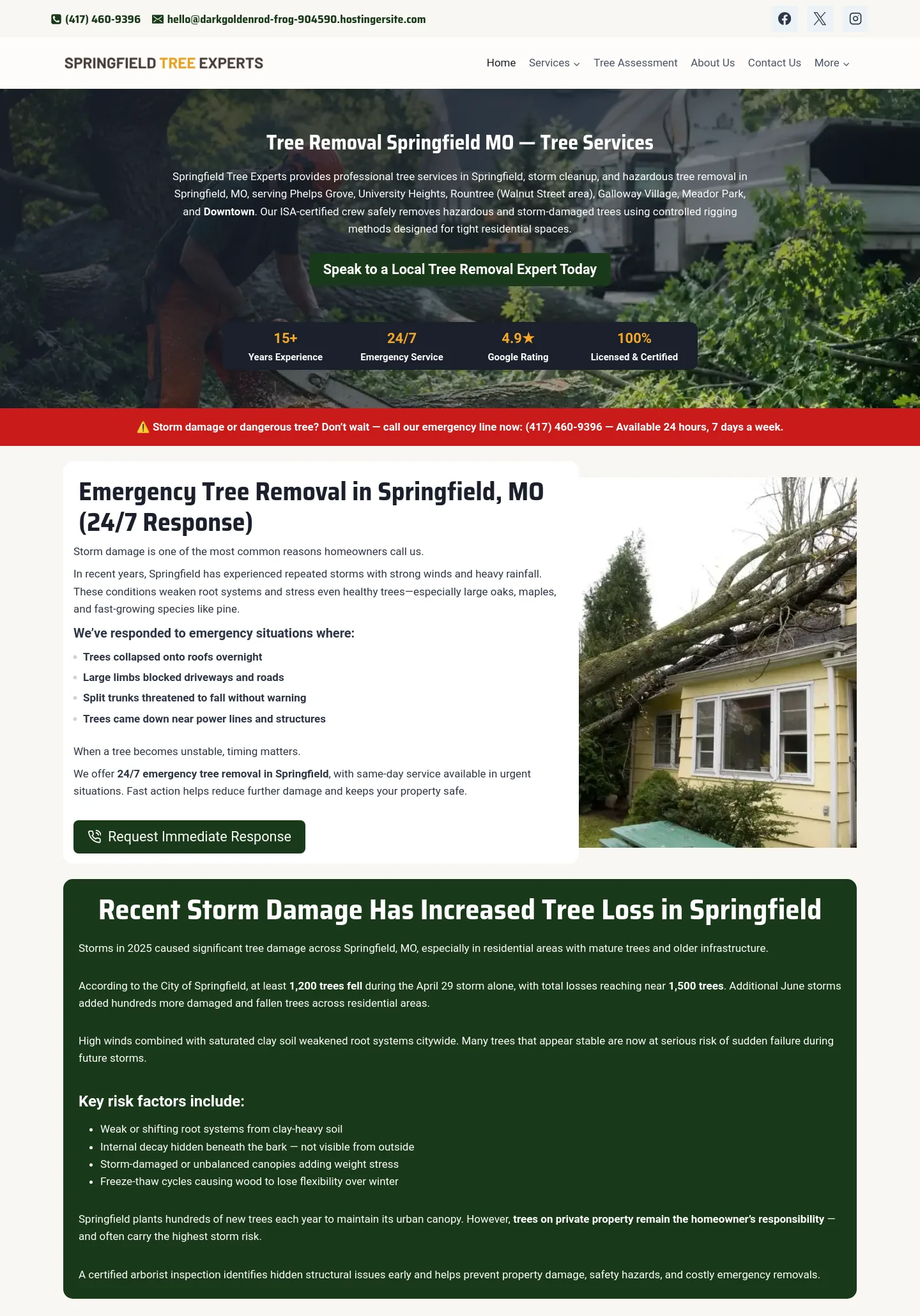 treeremovalinspringfield.com