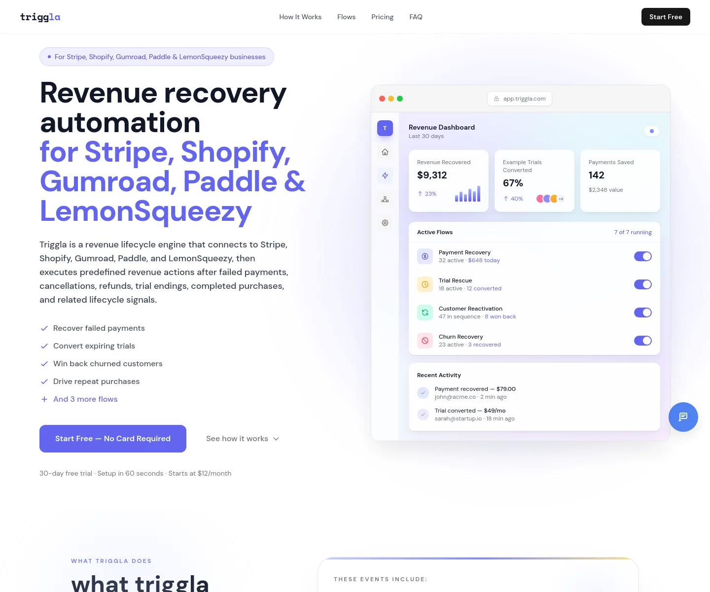 triggla.com Hero section