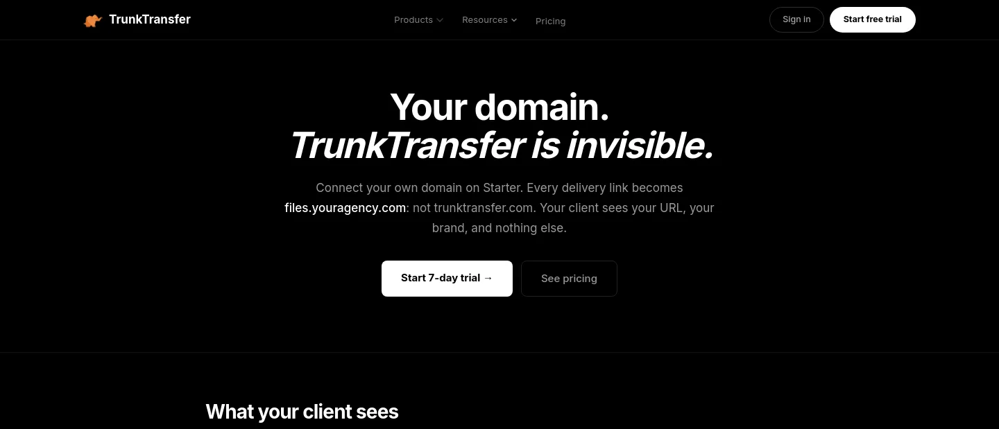 trunktransfer.com Hero section