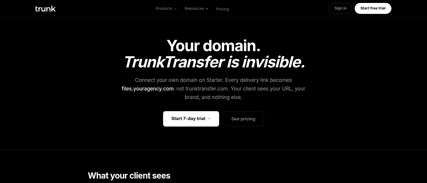 trunktransfer.com — a real Hero section