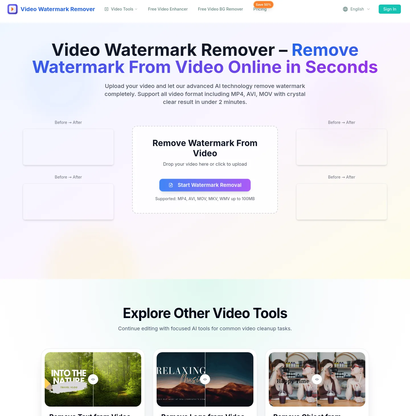 videowatermarkremover.org — The Pricing Page