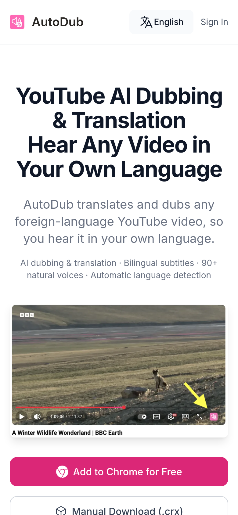 Homepage / Lander