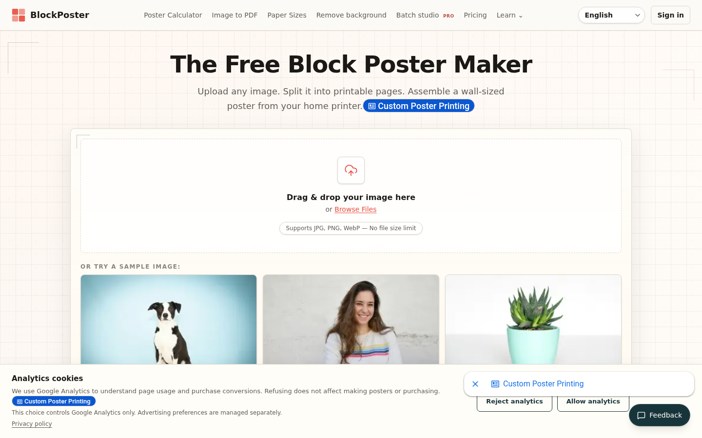 blockposter.net desktop capture of the first page