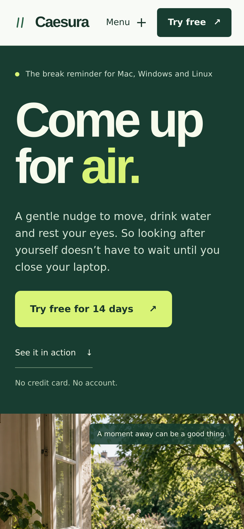 Homepage / Lander