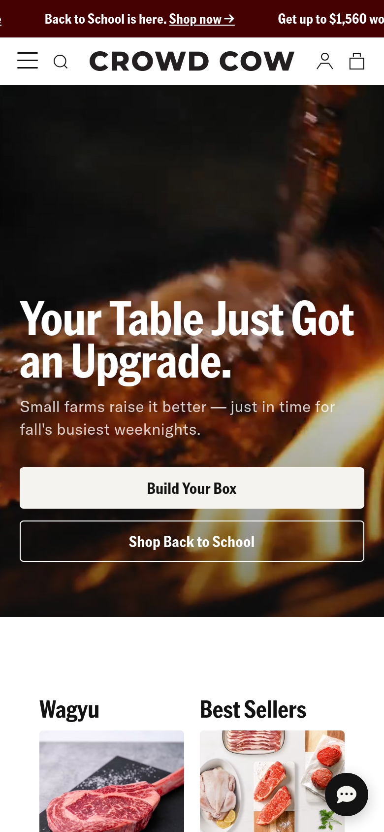 Homepage / Lander