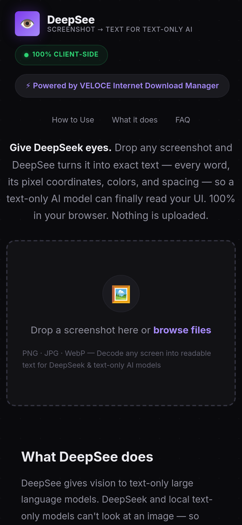deepsee.veloceidm.com mobile capture of the first page