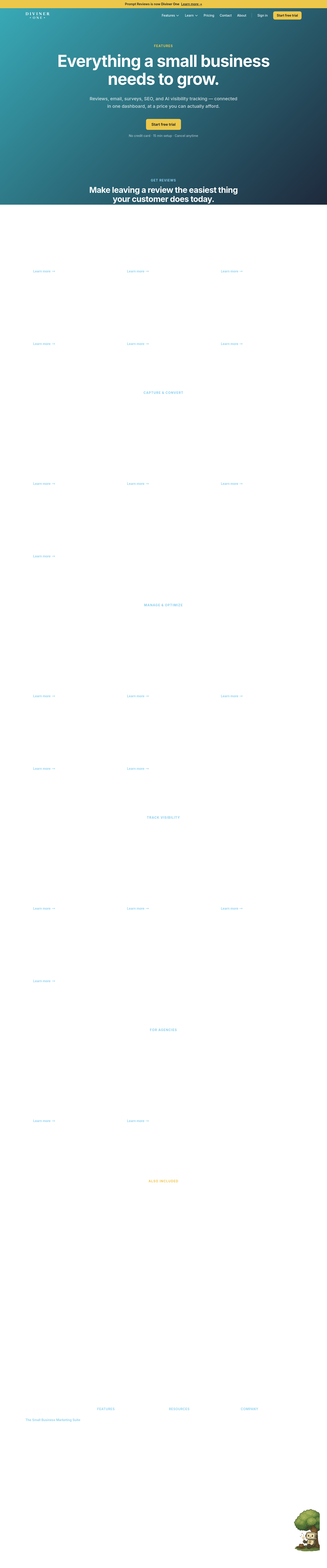 divinerone.com — 