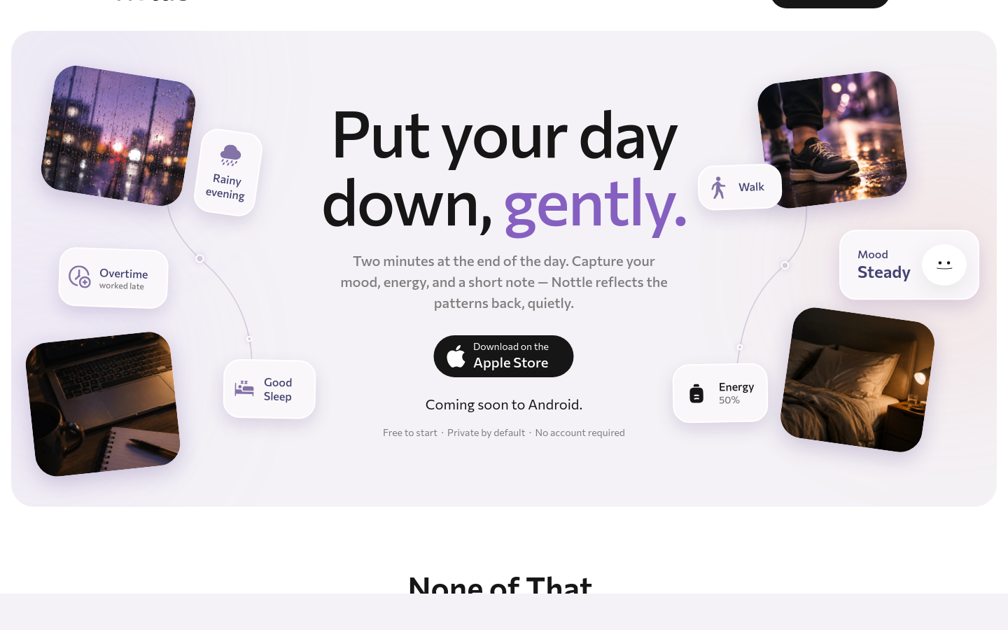 Above-the-fold capture of getnottle.com