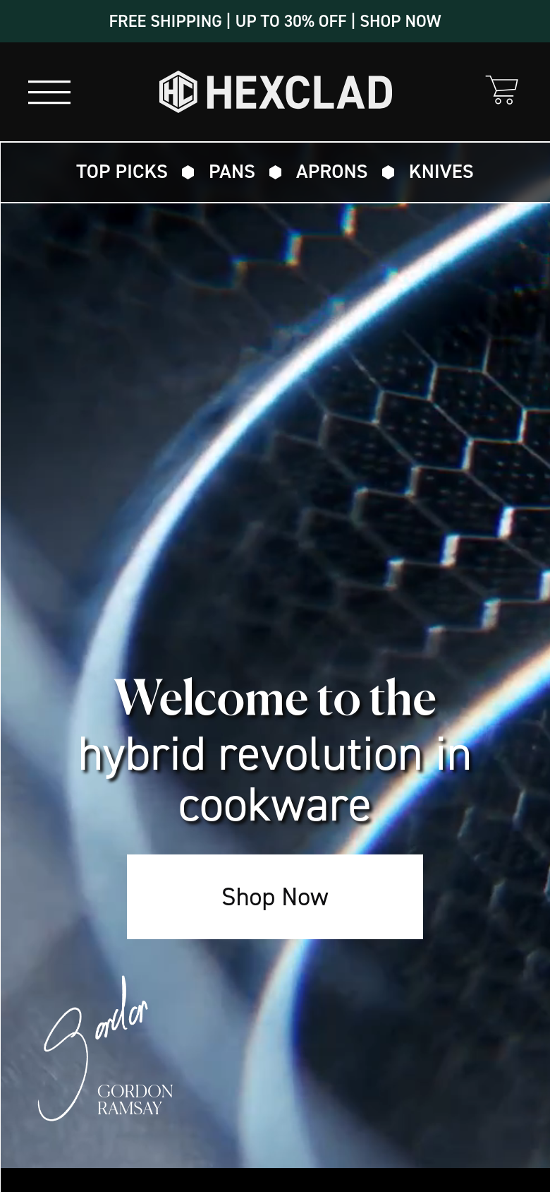 Homepage / Lander