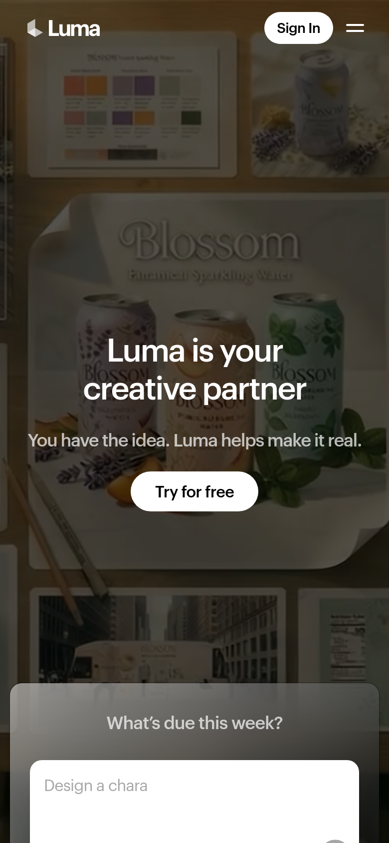Homepage / Lander