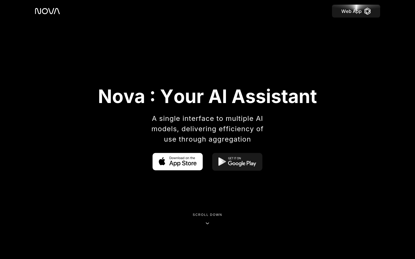 Captured Homepage / Lander