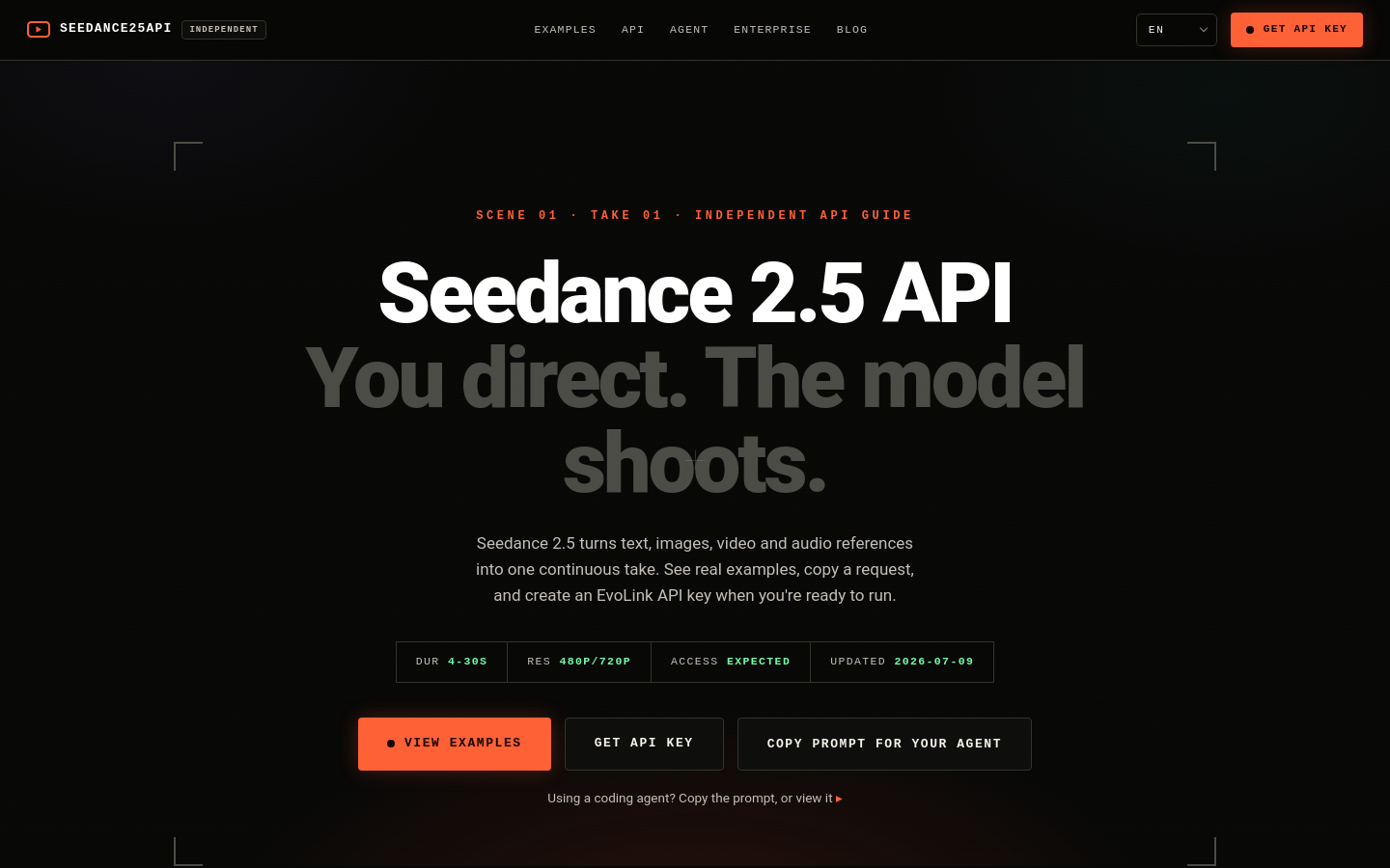 seedance25api.io section