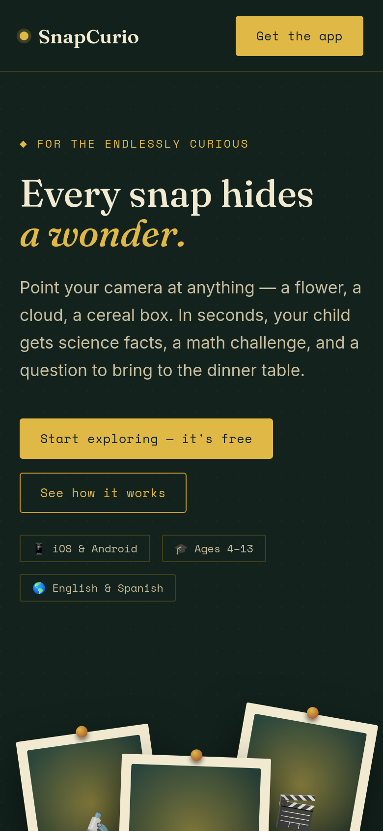 Homepage / Lander