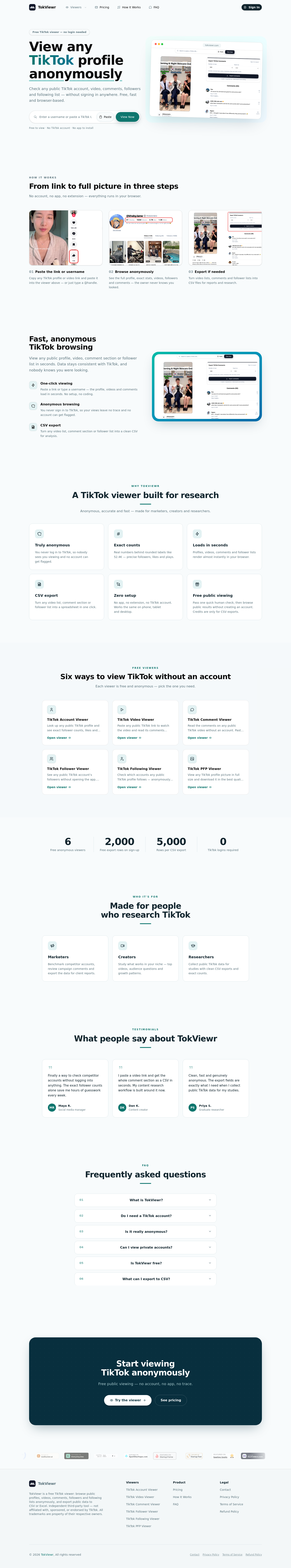Hero section of tokviewr.com