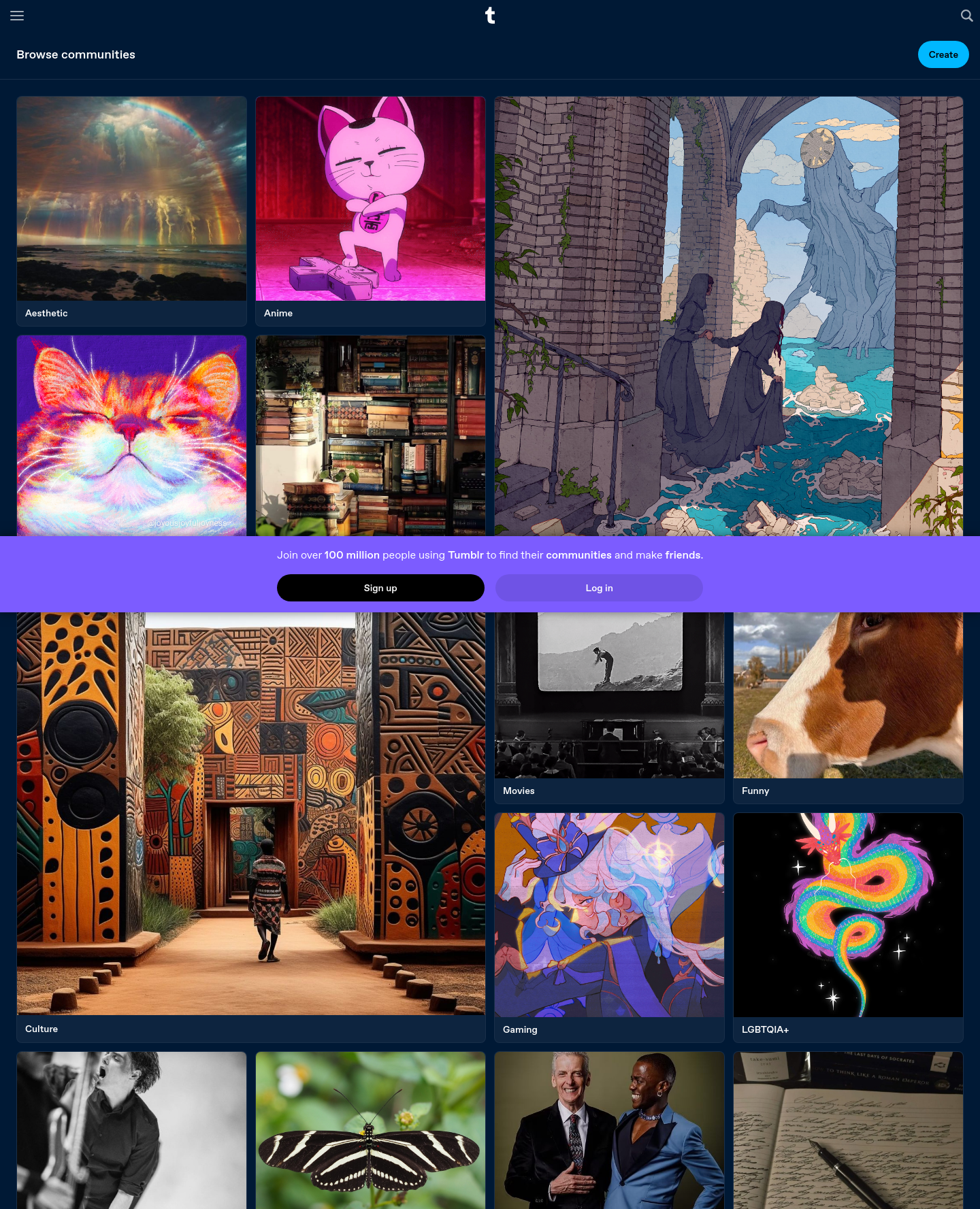 tumblr.com — 