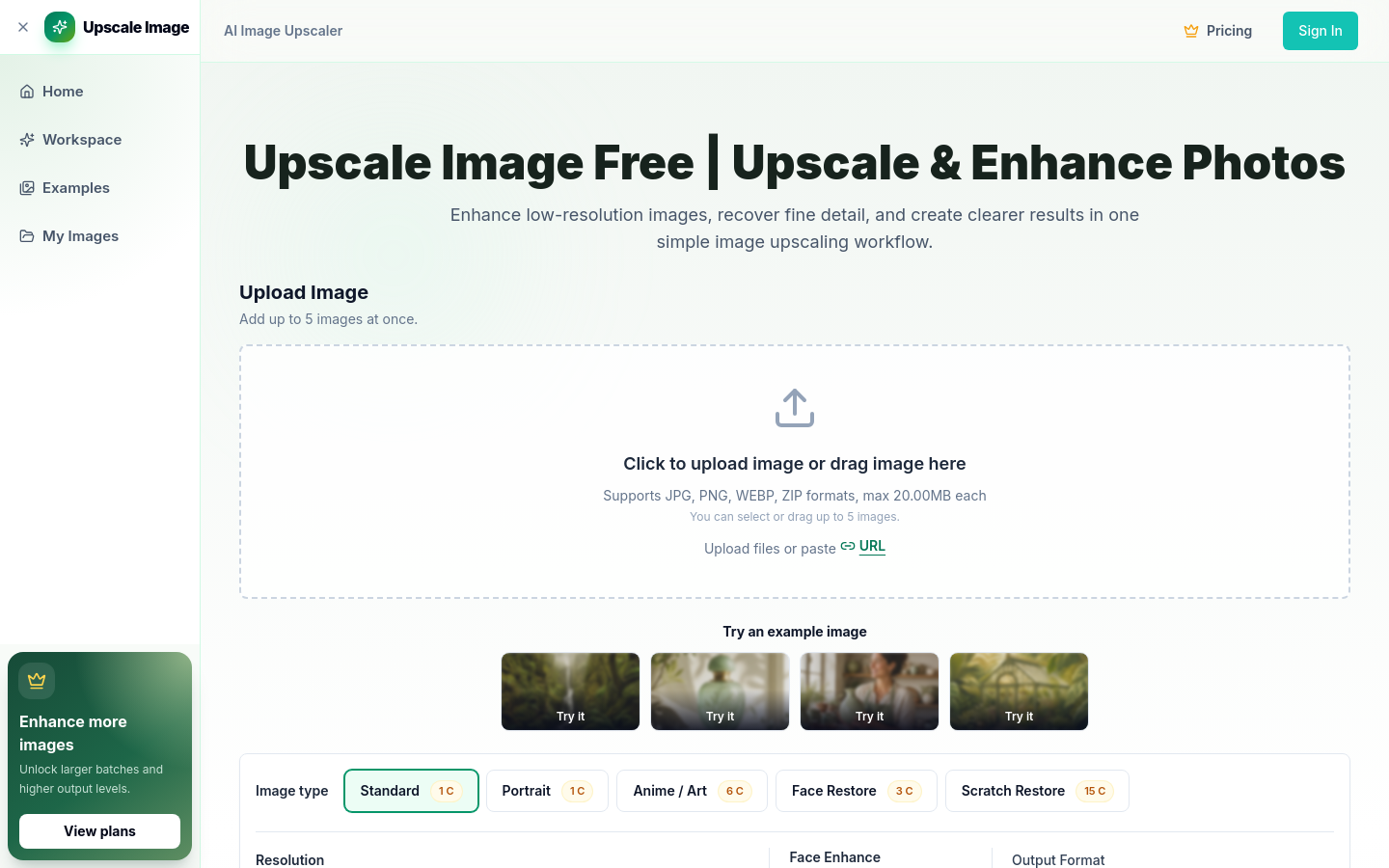 Captured Homepage / Lander
