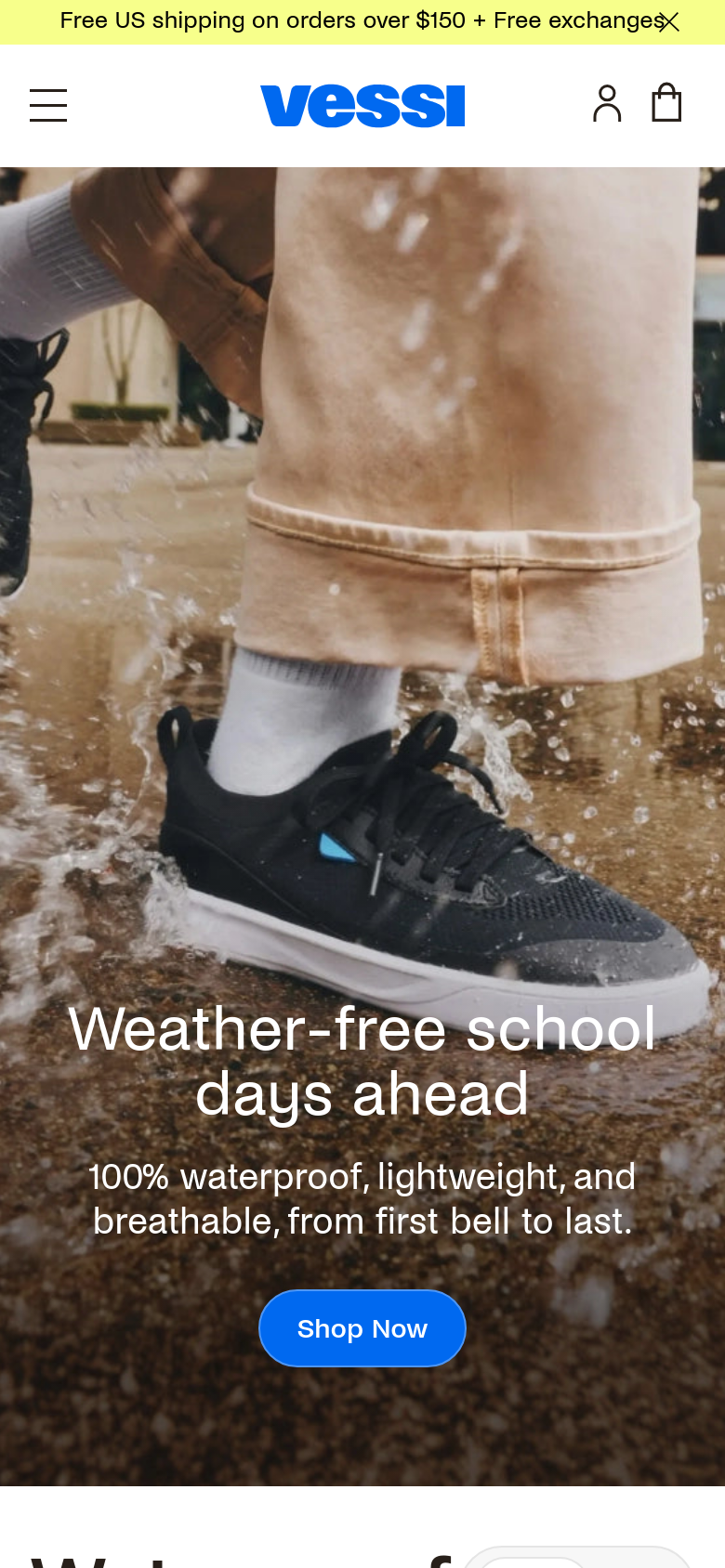 Homepage / Lander