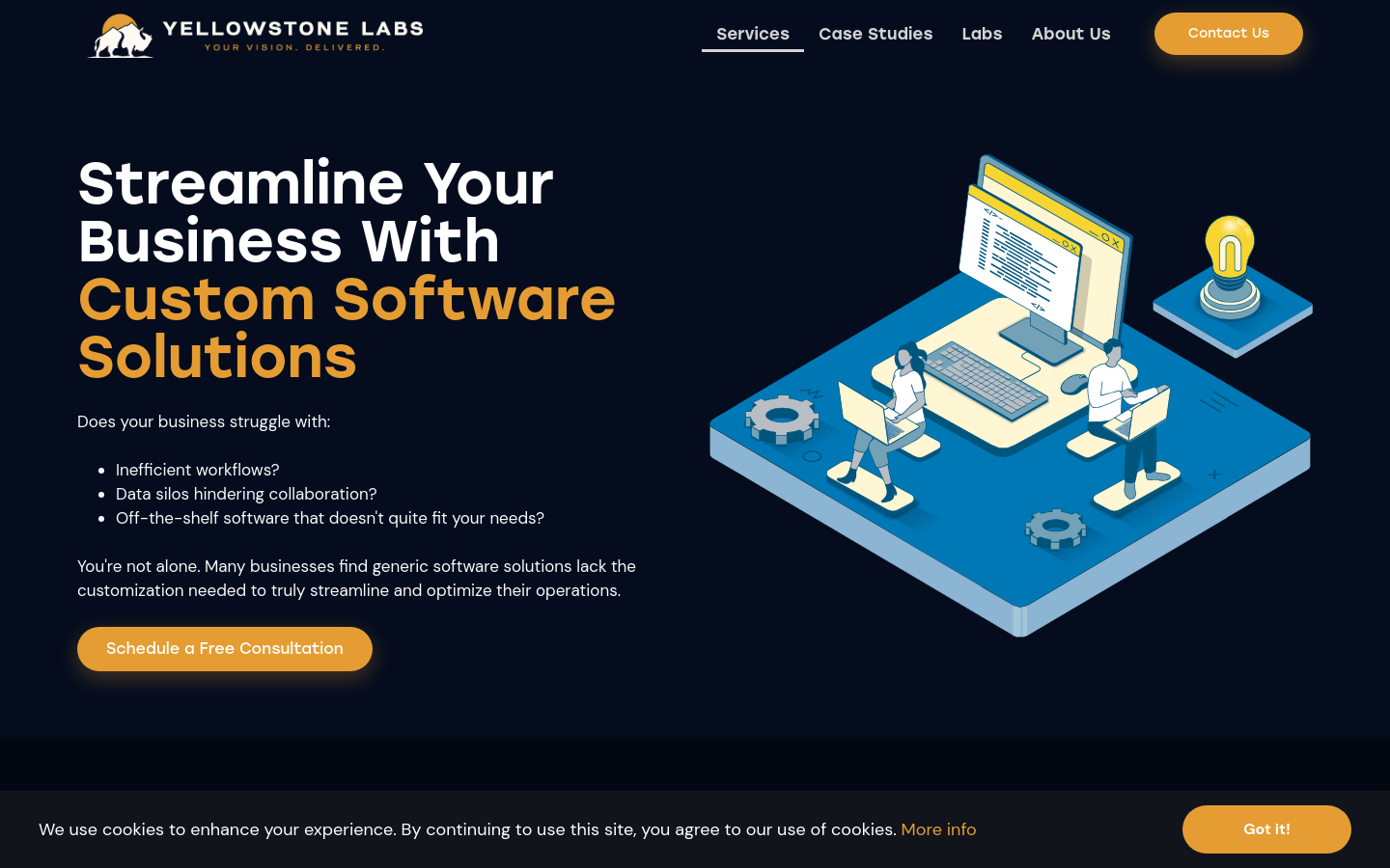 Custom Software Development