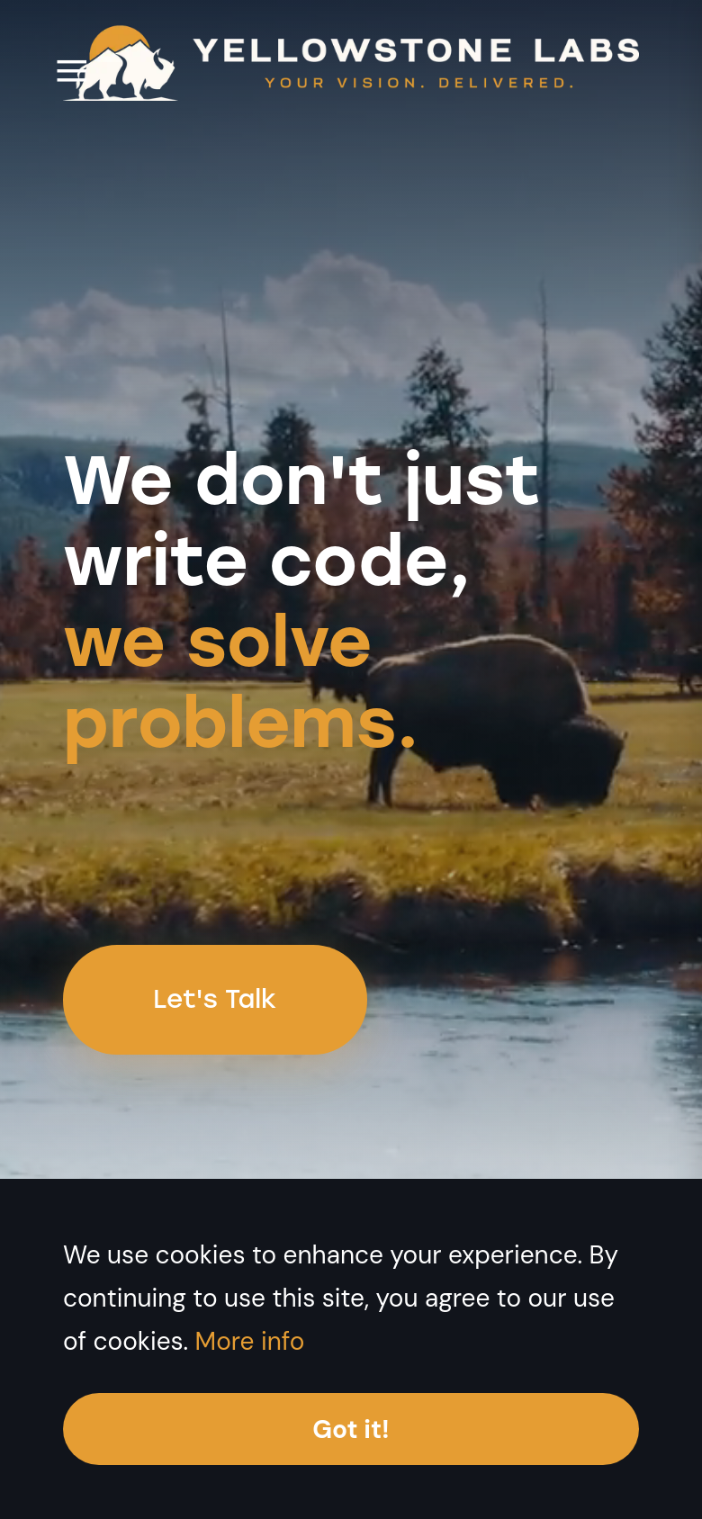 Homepage / Lander