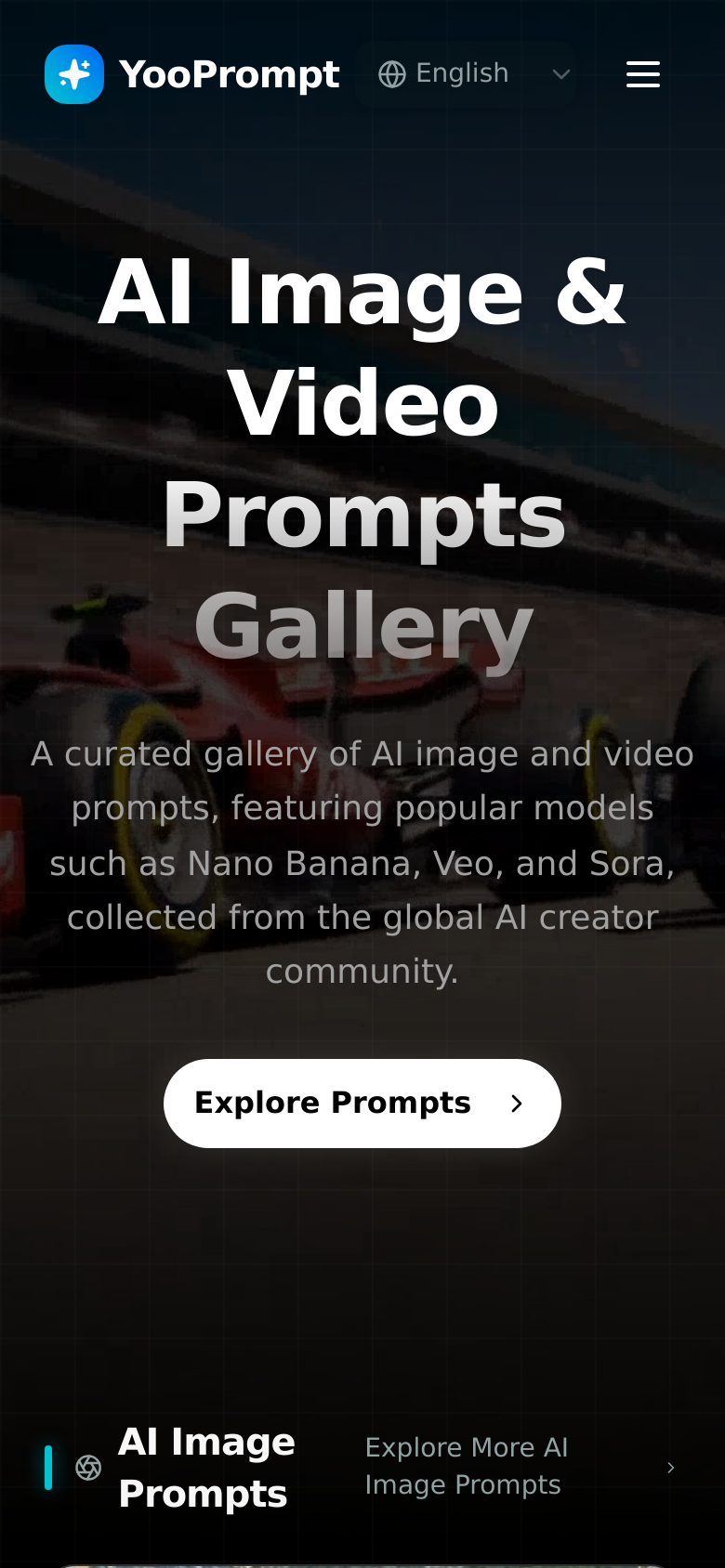 Homepage / Lander