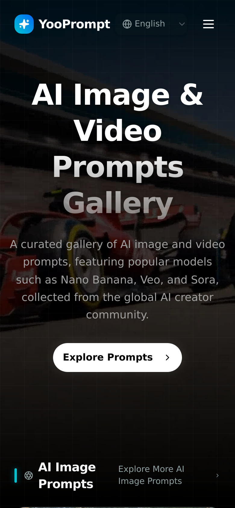 Homepage / Lander